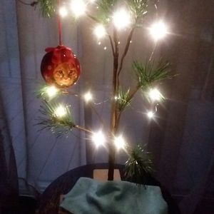 🎄Seasons Greetings🎄